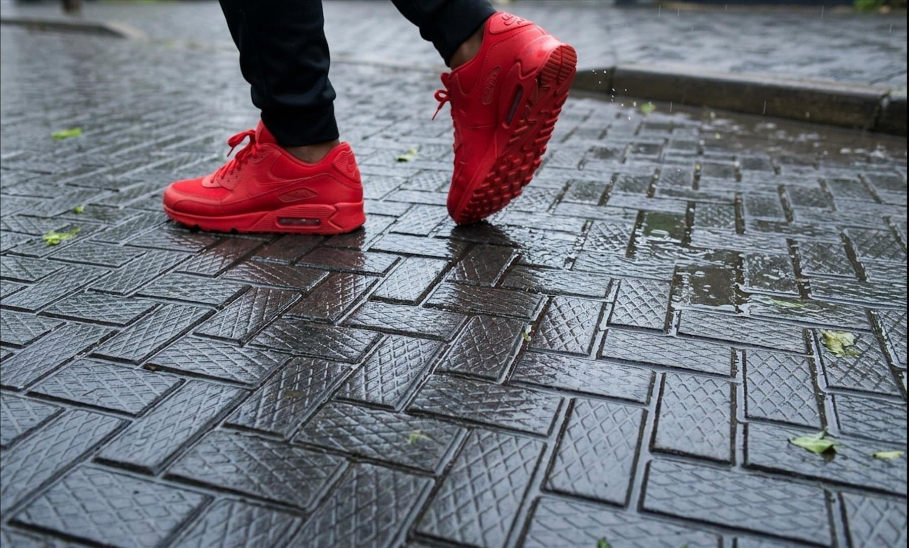 Paving tiles close up, wet from rain